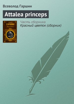 �ttalea princeps