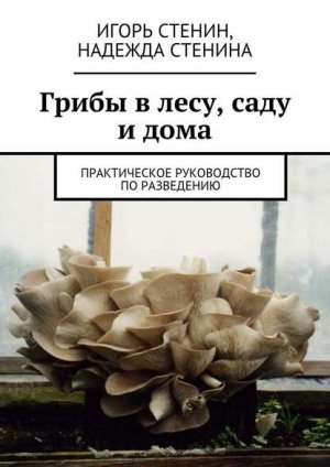 ����� �����, ���� �����