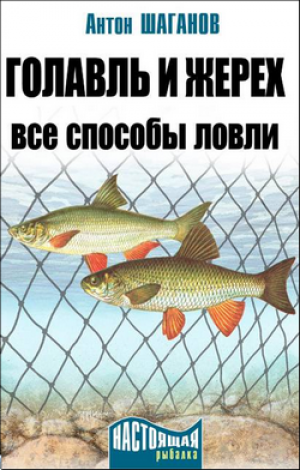 ������� � �����. ��� ������� �����