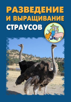 ���������� � ����������� ��������
