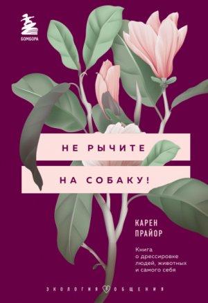 �� ������ �� ������! ����� � ����������� �����, �������� � ������ ����