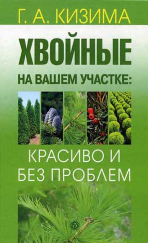 ������� �� ����� �������: ������� � ��� �������