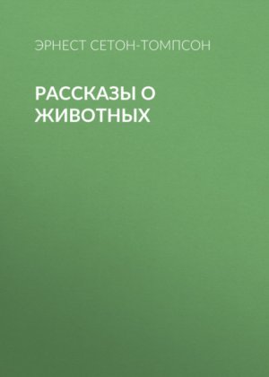�������� � ��������