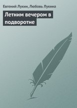 Летним вечером в подворотне