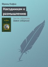 Наездникам к размышлению