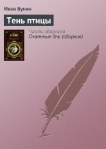 Тень птицы