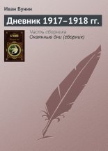 Дневник 1917–1918 гг.
