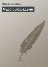 ���� � ��������