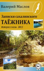 ������� ������������ �������. ������������ 2013