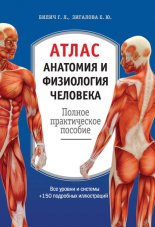 �����: �������� � ���������� ��������. ������ ������������ �������