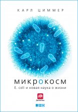 ���������: E. coli � ����� ����� � �����