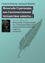 Женитьба Стратонова, или Сентиментальное путешествие невесты к жениху