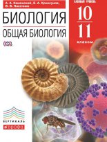 ��������. ����� ��������.�10�11 ������