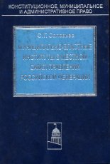 Муниципально-властные институты в местном самоуправлении Российской Федерации