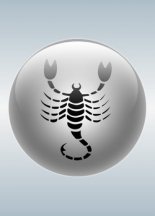 �������� (24.10 � 22.11)