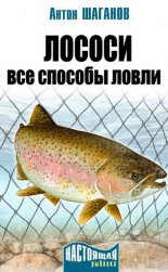 ������. ��� ������� �����