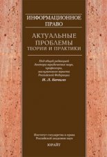Информационное право: актуальные проблемы теории и практики