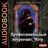 Профессиональный некромант. Мэтр