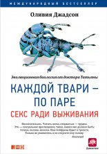 ������ ����� � �� ����: ���� ���� ���������