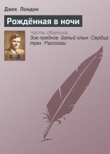 Рождённая в ночи