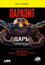 ������� � ���� �������: ������ ��� ����� ������� ������� �� �����