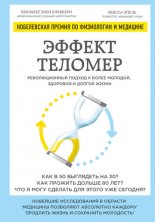 ������ �������: ������������� ������ � ����� �������, �������� � ������ �����