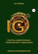 ������� �����������-2: ������������� � ������������ ���������-��������� �����������