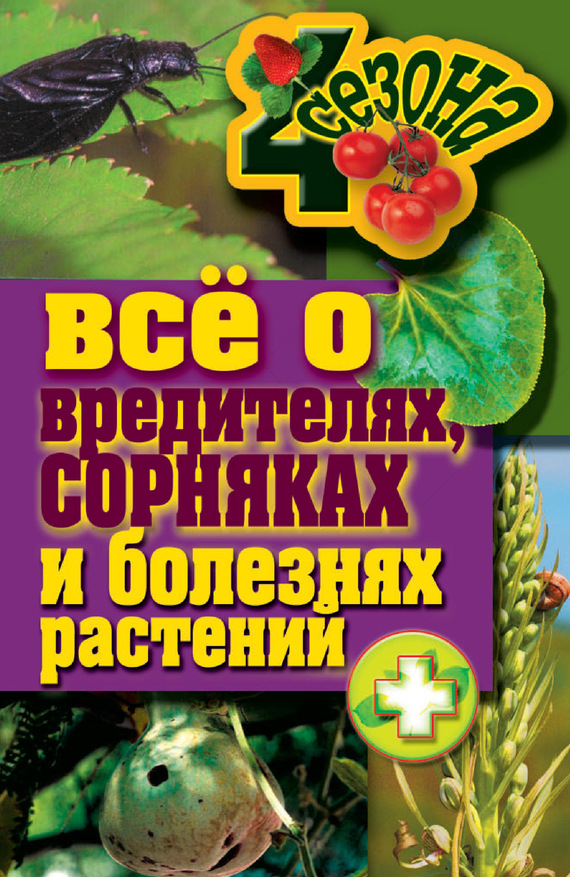 ��� � ����������, �������� � �������� ��������