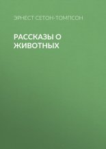 �������� � ��������