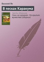 В песках Каракума