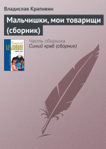 Мальчишки, мои товарищи (сборник)